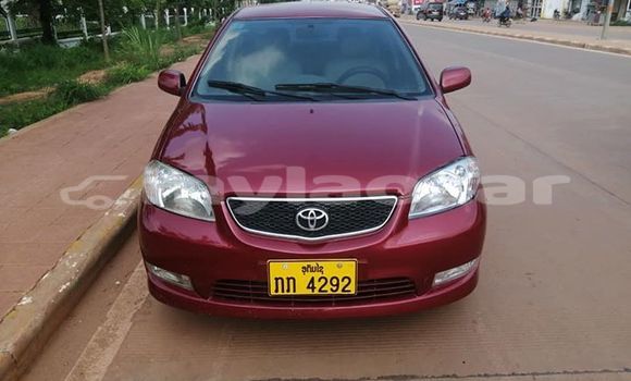 Buy Used Toyota Corolla Red Car in Vientiane in Vientiane Province Buy Used Toyota Corolla Red Car in Vientiane in Vientiane Province