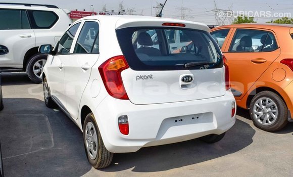 Buy Import Kia Picanto White Car in Import - Dubai in Attapeu Province Buy Import Kia Picanto White Car in Import - Dubai in Attapeu Province