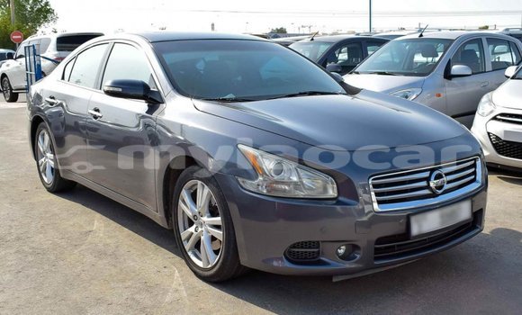 Acheter Import Voiture Nissan Maxima Autre à Import - Dubai, Attapeu Province Acheter Import Voiture Nissan Maxima Autre à Import - Dubai, Attapeu Province