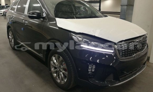 Buy Import Kia Sorento Brown Car in Import - Dubai in Attapeu Province Buy Import Kia Sorento Brown Car in Import - Dubai in Attapeu Province